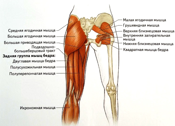 Перелом костей коленного сустава13