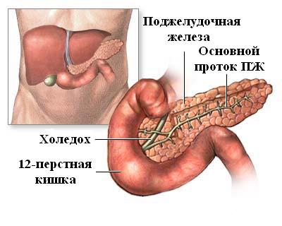 Протокол лечения острого панкреатита1