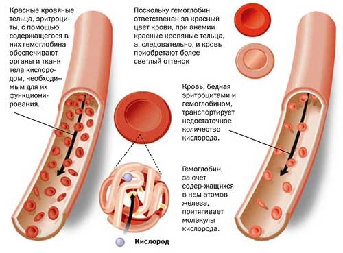 Постгеморрагическая анемия1