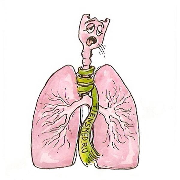 Дыхательная система детей2