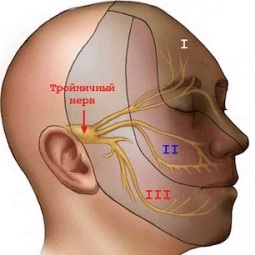 Кластерная головная боль: симптомы, причины, лечение2