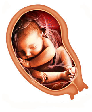Врожденные пороки сердца и беременность. Ранняя диагностика. Причины. 3