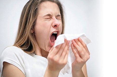 Аллергия на пыльцу березы: лечение, перекрестные продукты3