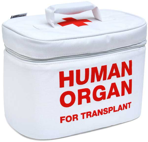 Посмертная трансплантация органов3