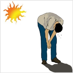 Тепловой и солнечный удар: симптомы, первая помощь4