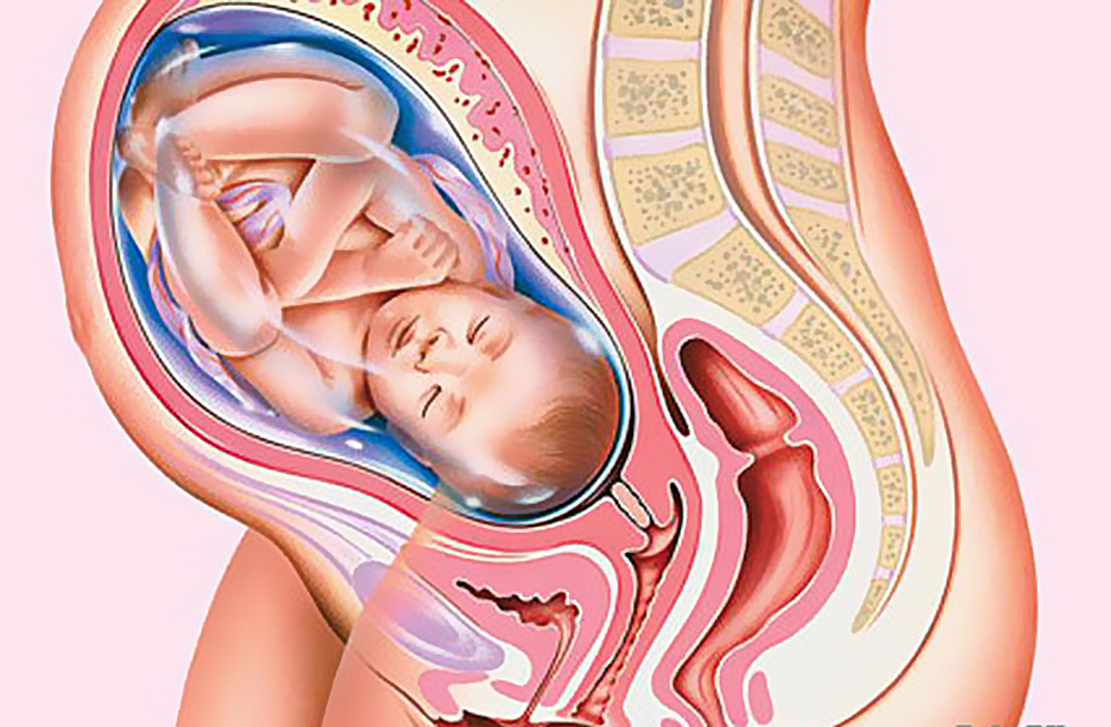 Физиологические изменения в организме при беременности4