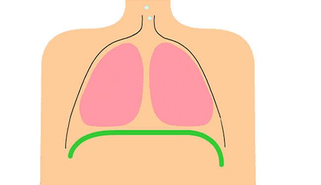 Дыхательная система детей5