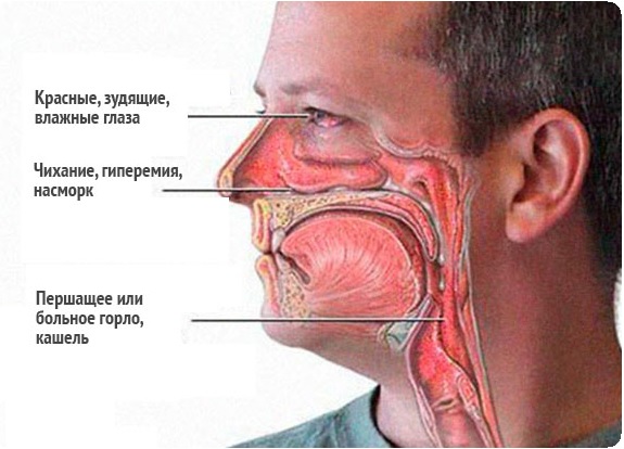 Онемение губ и языка: причины, диагностика6