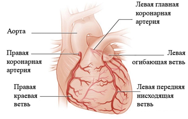 Периферический стеноз легочной артерии8