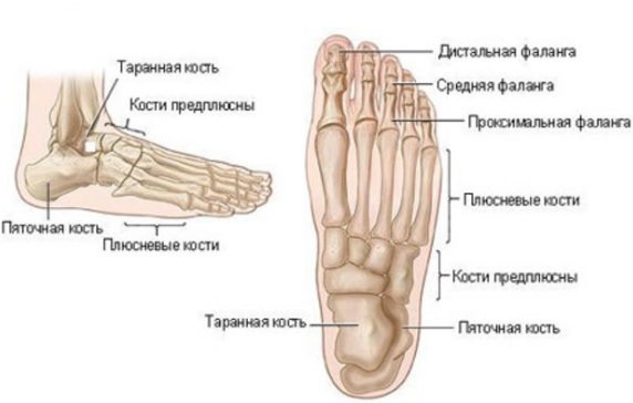 Пересадка пальцев с ног на руку8