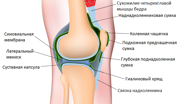 Подготовка к эндопротезированию коленного сустава9