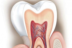 Адгезия в стоматологии: взаимодействие, достоинства, недостатки10