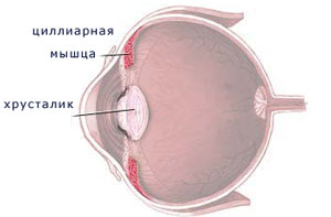 Ухудшение зрения: симптомы, причины, лечение, что делать. Категория болезни глаз. 11