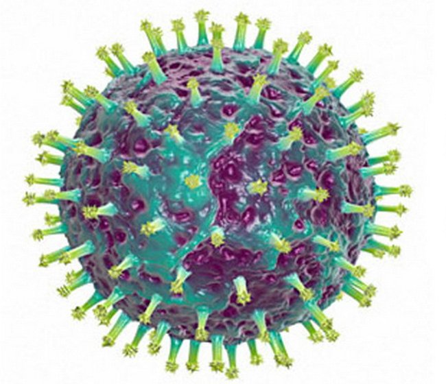 Что такое вирусы? Симптомы, диагностика и лечение вирусов11