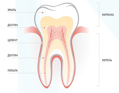 Ретенция зуба и другие дополнительные меры при реставрации13