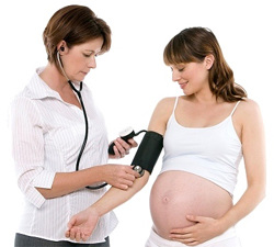 Скрининг при беременности: ультразвуковой, скрининг пороков развития14