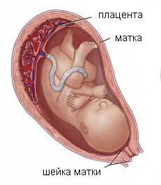 Гипертензия у беременных. Оценка методов терапии патологии16