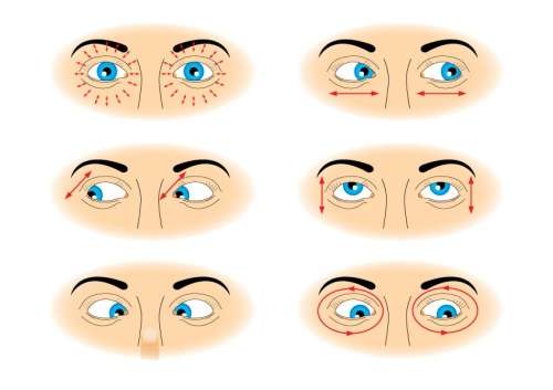 Ухудшение зрения: симптомы, причины, лечение, что делать. Категория болезни глаз. 17