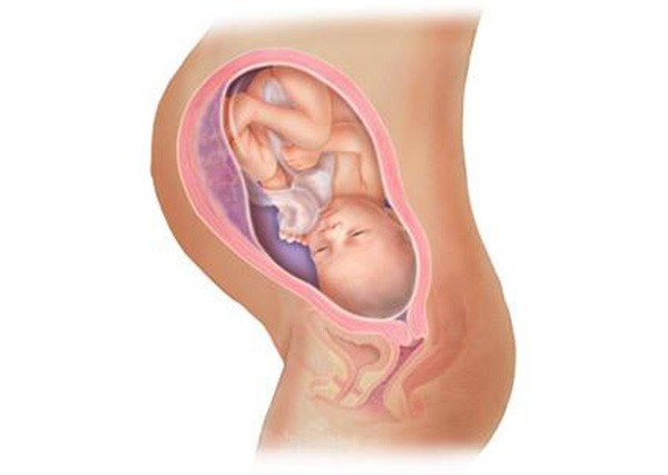 Гипертензия у беременных. Оценка методов терапии патологии17