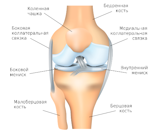 Почему болят колени после тренировки?2