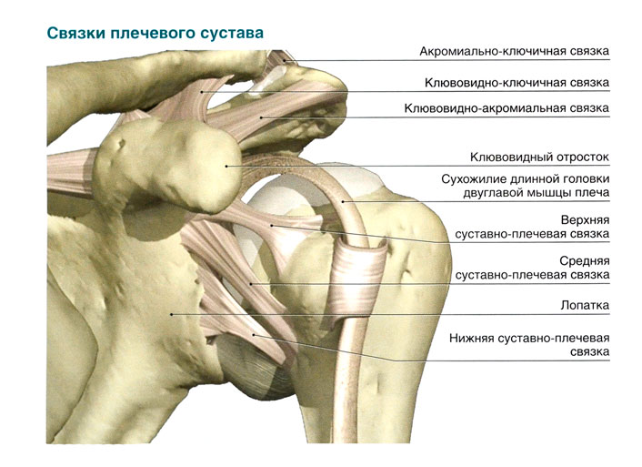 Боль в плечевом суставе: симптомы, лечение, причины, дискомфорт при поднятии руки2