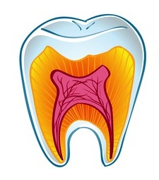 Реставрация депульпированных зубов. Основные компоненты3