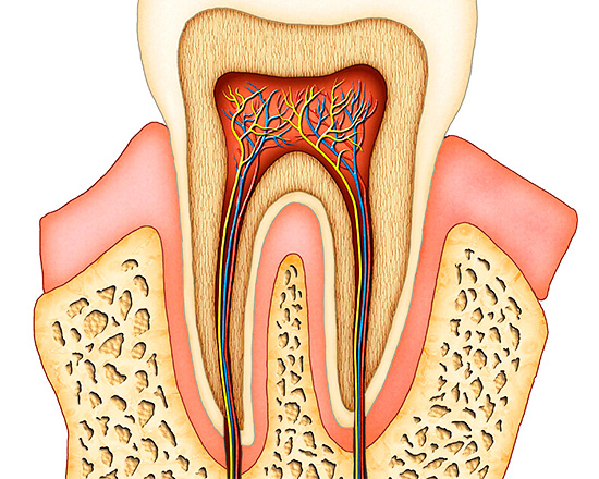 Почему болит зуб под пломбой: причины, диагностика, лечение3