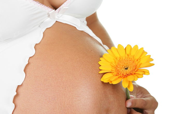 Беременность поддержка. Дородовая помощь. Социальная помощь беременным женщинам4