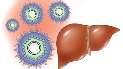 Токсический гепатит:  острая и хроническая формы5
