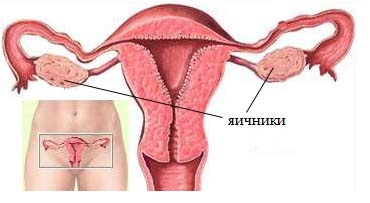 Беременность после лапароскопии 7