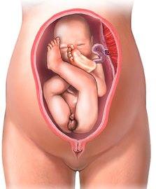 Схватки: периоды, симптомы. Техника дыхания при родах7
