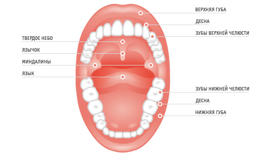 Лечение временных зубов. Некроз пульпы 9