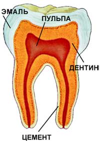 Методика препарирования зубов: показания, этапы9