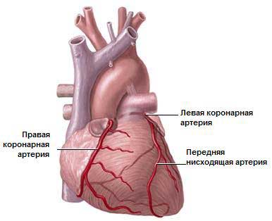 Стеноз аортального клапана: лечение, операция9