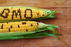 Продукты ГМО