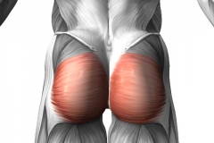 Почему болят мышцы ягодиц