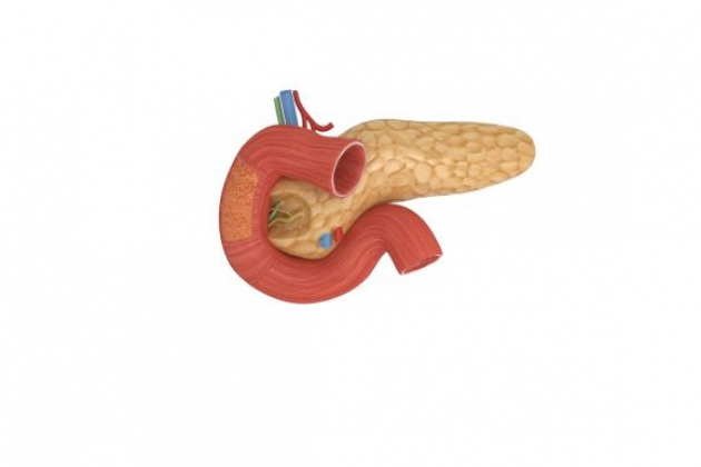 Почему болит поджелудочная железа