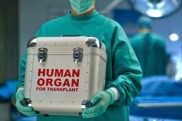 Посмертная трансплантация органов